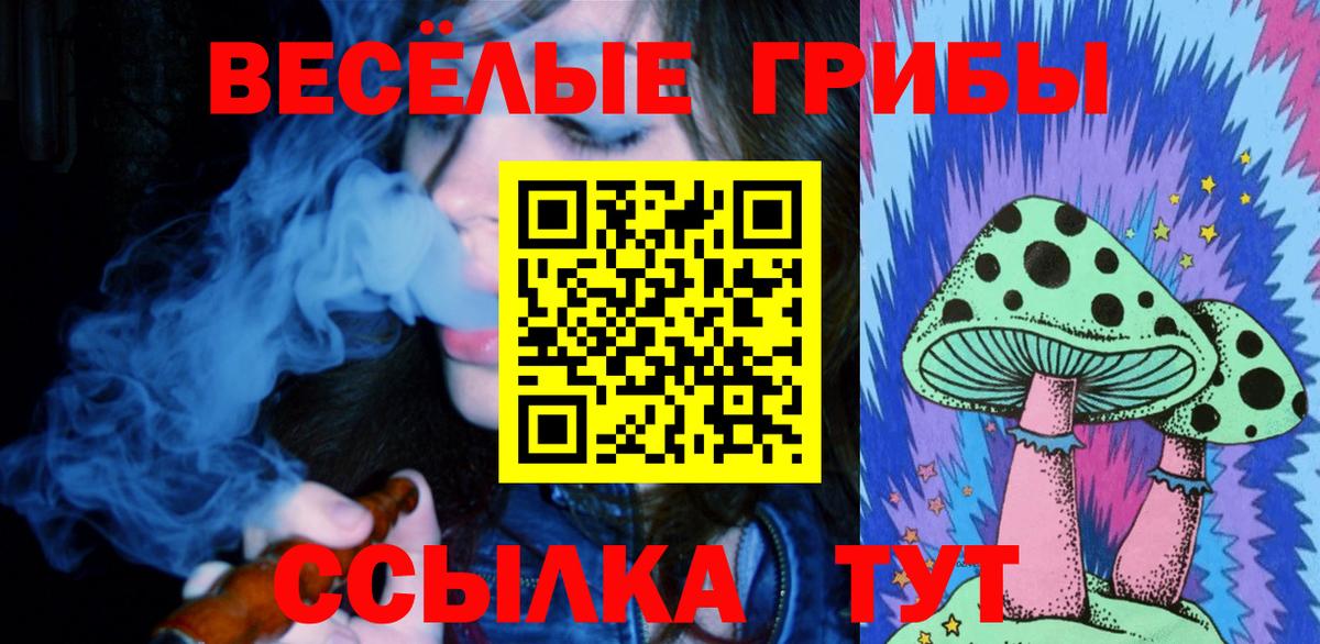 Псилоцибиновые грибы Cubensis Людиново