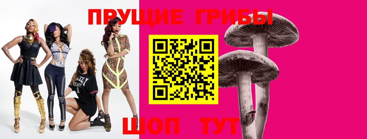 Псилоцибиновые грибы Psilocybine cubensis  купить наркоту  Людиново  Вход с VPN  Псилоцибиновые грибы мицелий 